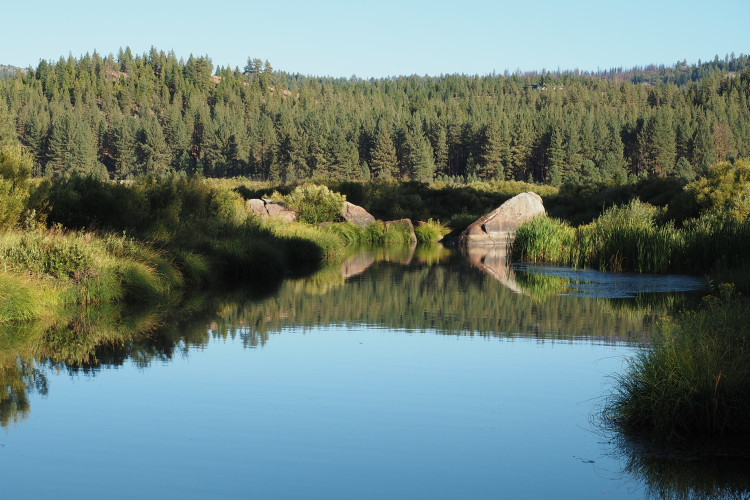 Gooseneck section of Feather River near Portola