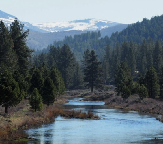 Feather River near Sierra Valley
