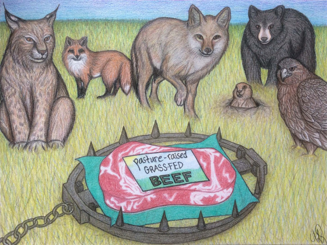image showing prime cut of beef in trap surrounded by hungry looking wild animals