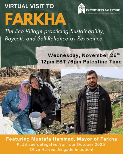 Online
https://www.zeffy.com/en-US/ticketing/virtual-delegaton-farkha