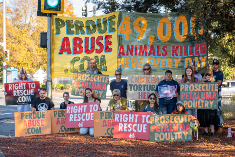 Silent protesters held a vigil outside of the Petaluma Poultry slaughterhouse Saturday to bring attention to criminal animal cruelty at t...