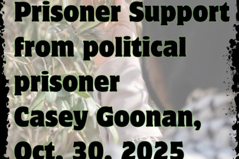 Instagram cover image for the statement: Title over a photo of a person wearing a kuffiyeh handling the leaves of an (olive?) tree.