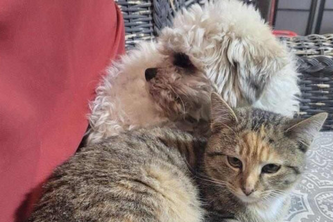 The lawsuit argued the lethal force used violated the 4th amendment