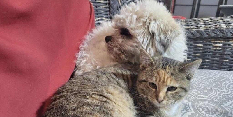 The lawsuit argued the lethal force used violated the 4th amendment