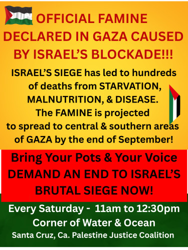 Saturday 11/22: Santa Cruz: Free Palestine