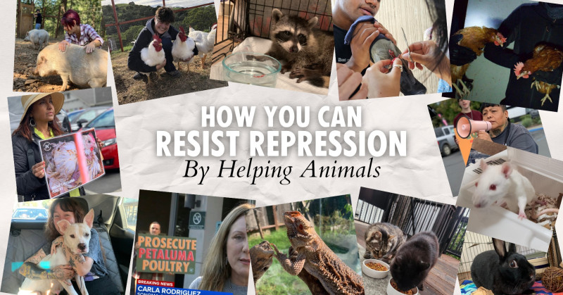 2414 6th St, Berkeley, CA