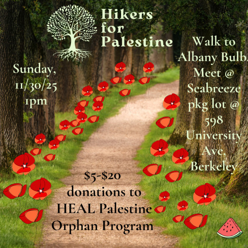 Sunday 11/30: Hikers for Palestine: Walking in Solidarity with Gaza’s Orphans