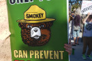 Smokey the Bear saying "Only You can Prevent Fascism"