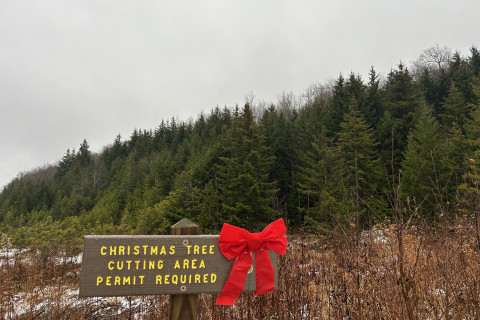 WASHINGTON, December 4, 2025 — The Center for Biological Diversity and Alliance of Nurses for Healthy Environments petitioned the Environ...