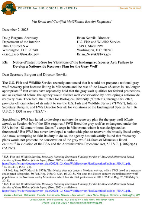 WASHINGTON, December 2, 2025 — The Center for Biological Diversity filed a notice today of its intent to sue the U.S Fish and Wildlife Se...