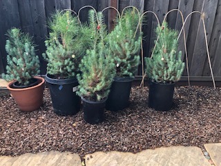 El Cerrito private residence (address provided via email)