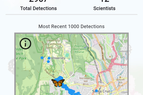 Movement patterns of butterfly LF006 through December 8, 2025