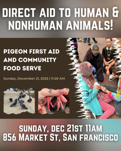 Powell Street Bart Station