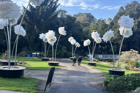 Fake Flowers Are Planted All Over The Botanical Gardens
