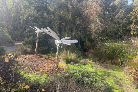 Fake Insects In The Pond For Disney Light Show