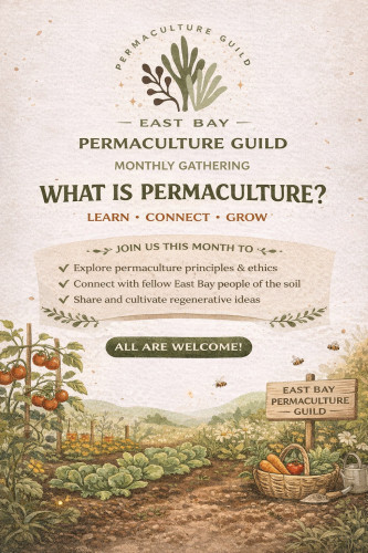 Flyer for our event <3