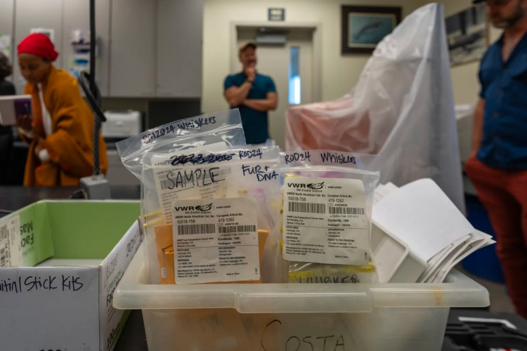 Institute of the Arts and Sciences, 100 Panetta Avenue, Santa Cruz