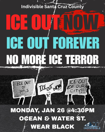 Image shows protestors and signs. Text says ICE Out Now, ICE Out Forever, No More ICE Terror