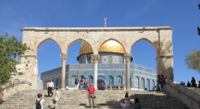 Albany Library Edith Stone Room