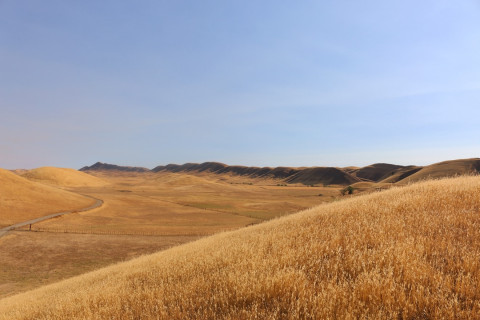 Sites Reservoir site. Photo courtesy of Sites Project Authority.