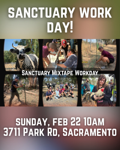 3711 Park Rd, Sacramento, CA 95841