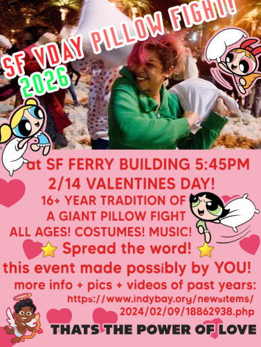 A Giant Pillow Fight in Downtown SF!
For Valentine's Day!