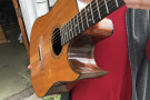 Photo of my D.E.I., handmade international acoustic steel-string guitar.