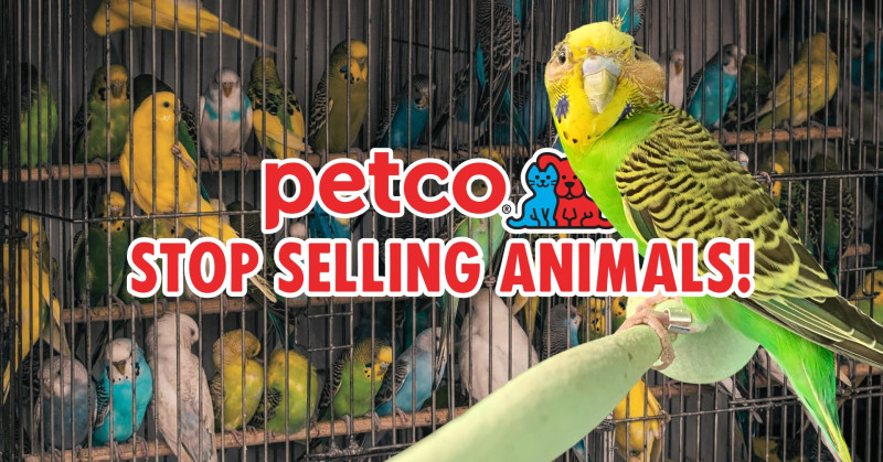 7000 El Cerrito Plz, El Cerrito, CA 94530-4020, United States