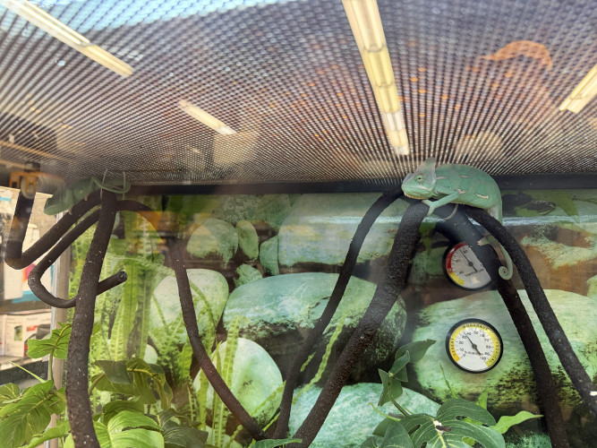 Activists Protest at Petco and Demand the End of All Animal Sales