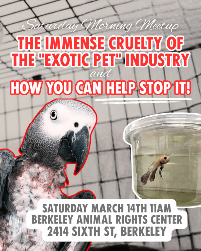 Animal Rights Center 2414 6th street berkeley CA