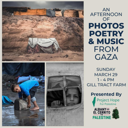 UC Gill Tract Community Farm, 1050 San Pablo Avenue, Albany, CA 94706