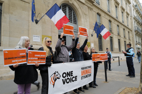 A The small group of seven protesters hurriedly unfurled a banner while holding signs urging the government ministers for Ecological Tran...