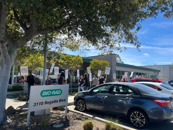 ILWU 6 Bio Rad workers are fighting for a living wages.