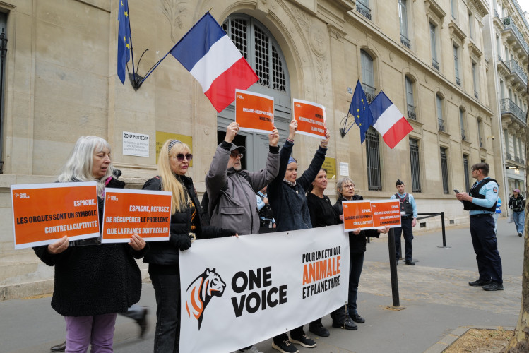 A The small group of seven protesters hurriedly unfurled a banner while holding signs urging the government ministers for Ecological Tran...