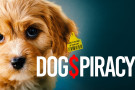 Dog$piracy film poster image of small dog