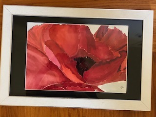 Original watercolor: poppy of Palestin