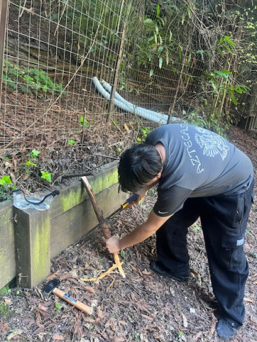 El Lido High School student