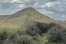 JURUPA VALLEY, Calif., May 12, 2026 — Conservation groups and Southern California developers reached an agreement today to create conserv...