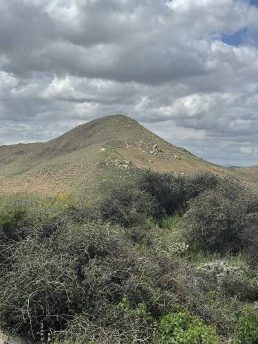 JURUPA VALLEY, Calif., May 12, 2026 — Conservation groups and Southern California developers reached an agreement today to create conserv...