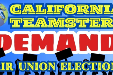 480_ibt_fair_elections.jpg