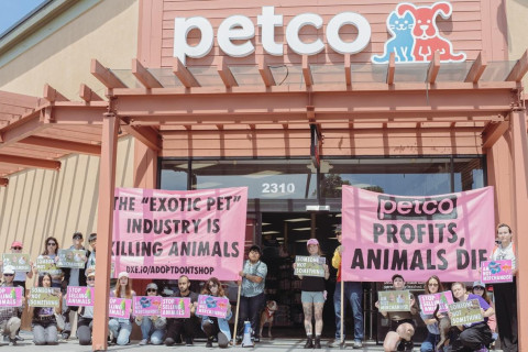 Following SF Animal Commission’s vote to recommend a ban on the retail sale of animals, advocates will rally in San Francisco to bring at...