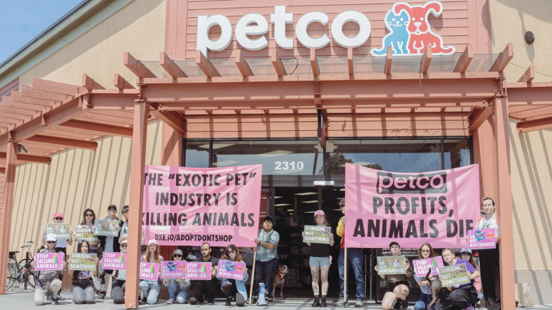 Following SF Animal Commission’s vote to recommend a ban on the retail sale of animals, advocates will rally in San Francisco to bring at...