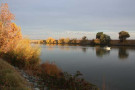 Sacramento River at Clarksburg. Photo by Dan Bacher.