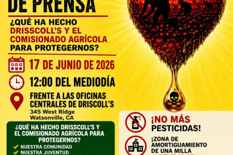 480_boycott-driscolls-ya-basta-june-17.jpg