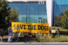 Activists Protest Merck For Purchasing Dogs for Animal Testing From Notorious Ridglan Farms