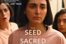 Film: The Seed of the Sacred Fig, directed by Mohammad Rasoulof