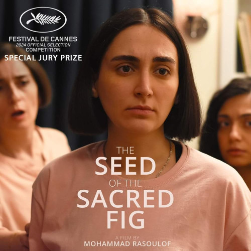 Film: The Seed of the Sacred Fig, directed by Mohammad Rasoulof