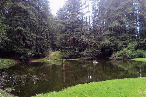 Lompico Pond, 5/23/26