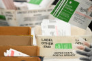 Postal workers handling mail-in-ballots at Post Office, in these very grim times when postal workers are under attack, and the convicted ...
