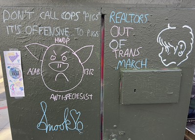 The Trans March ended with police brutalizing our comrades. A former street artist calls for MOAR alternative neighborhood beautification!!!